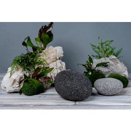 Oli Pebbles decoratieve stenen, zwart 9-12cm - 20 kg
