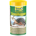 Tetra ReptoDelica Grasshoppers - 250 ml