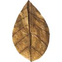 ARKA Catappa Leaves - Nano