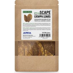 ARKA Catappa Leaves - S