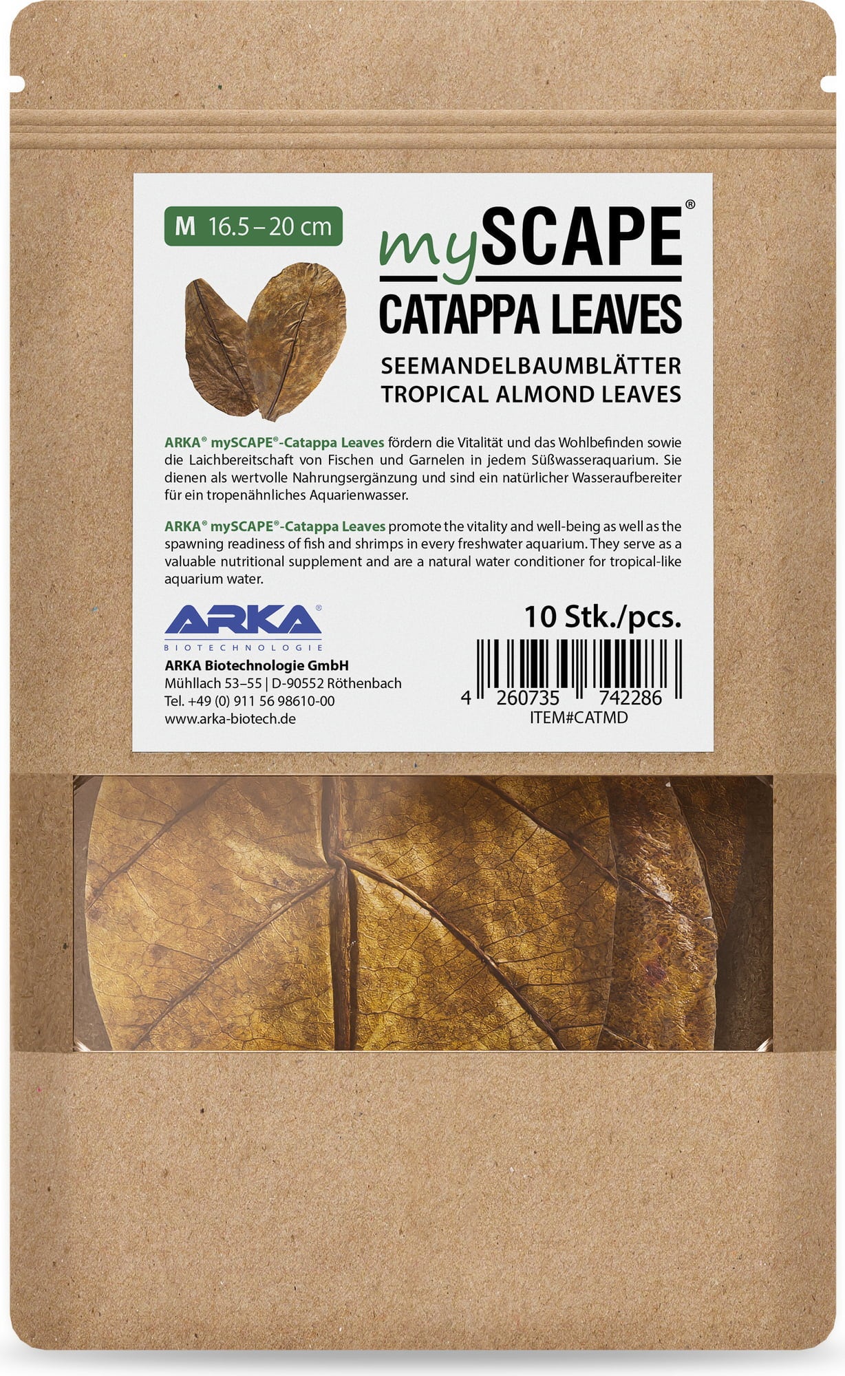 ARKA Catappa Leaves - M