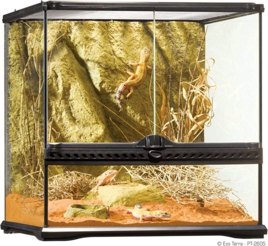 Glas Terrarium Small - Small/Wide