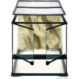 Glas Terrarium Small - Small/Wide