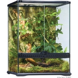 Glass Terrarium - Small - Small/Tall