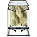 Glass Terrarium - Small - Small/Tall