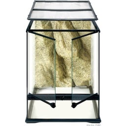 Glass Terrarium - Small - Small/Tall