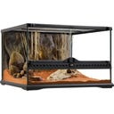 Terrario in Vetro con Sfondo - Small/Low