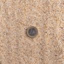 Olibetta Golden Sand 1-2 mm - 25 кг