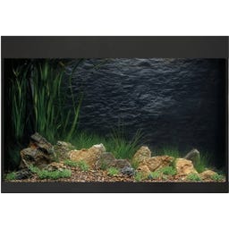 Oase Acquario StyleLine 175 - Nero