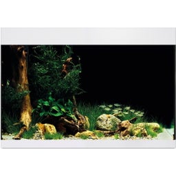 Oase StyleLine 175 Aquarium - white