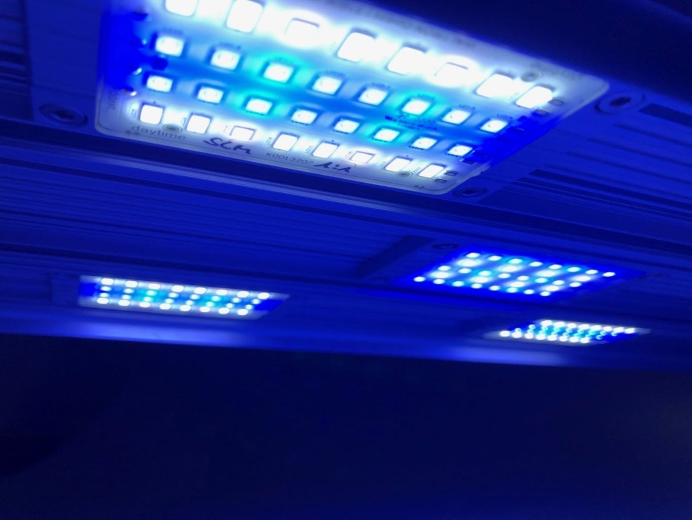 daytime pendix 80.6 Marine