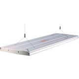 daytime pendix60.5 Marine