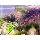 daytime onex120 - 114,0 cm - color