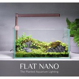 ONF Flat Nano - Rose Gold - 1 pz.