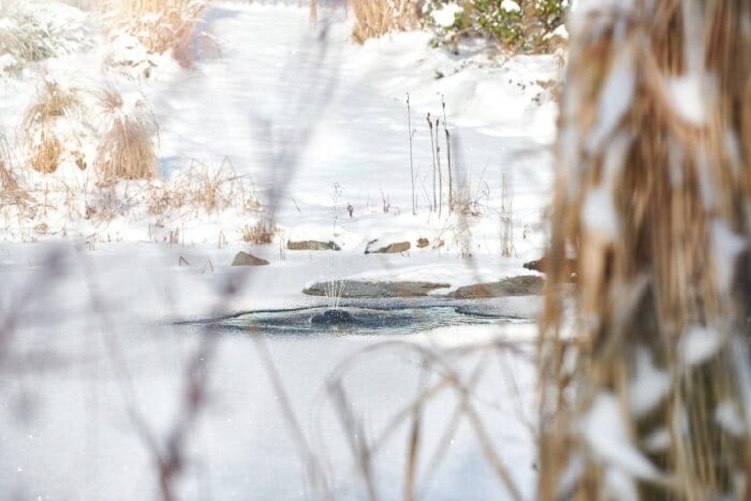 Oase IceFree 4 Seasons - 1 Stk
