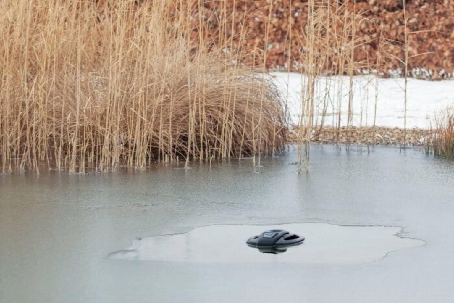 Oase IceFree 4 Seasons - 1 Stk