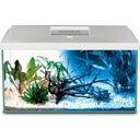 Aquael LEDDY Day&Night 40 2.0 Aquarium Set - White