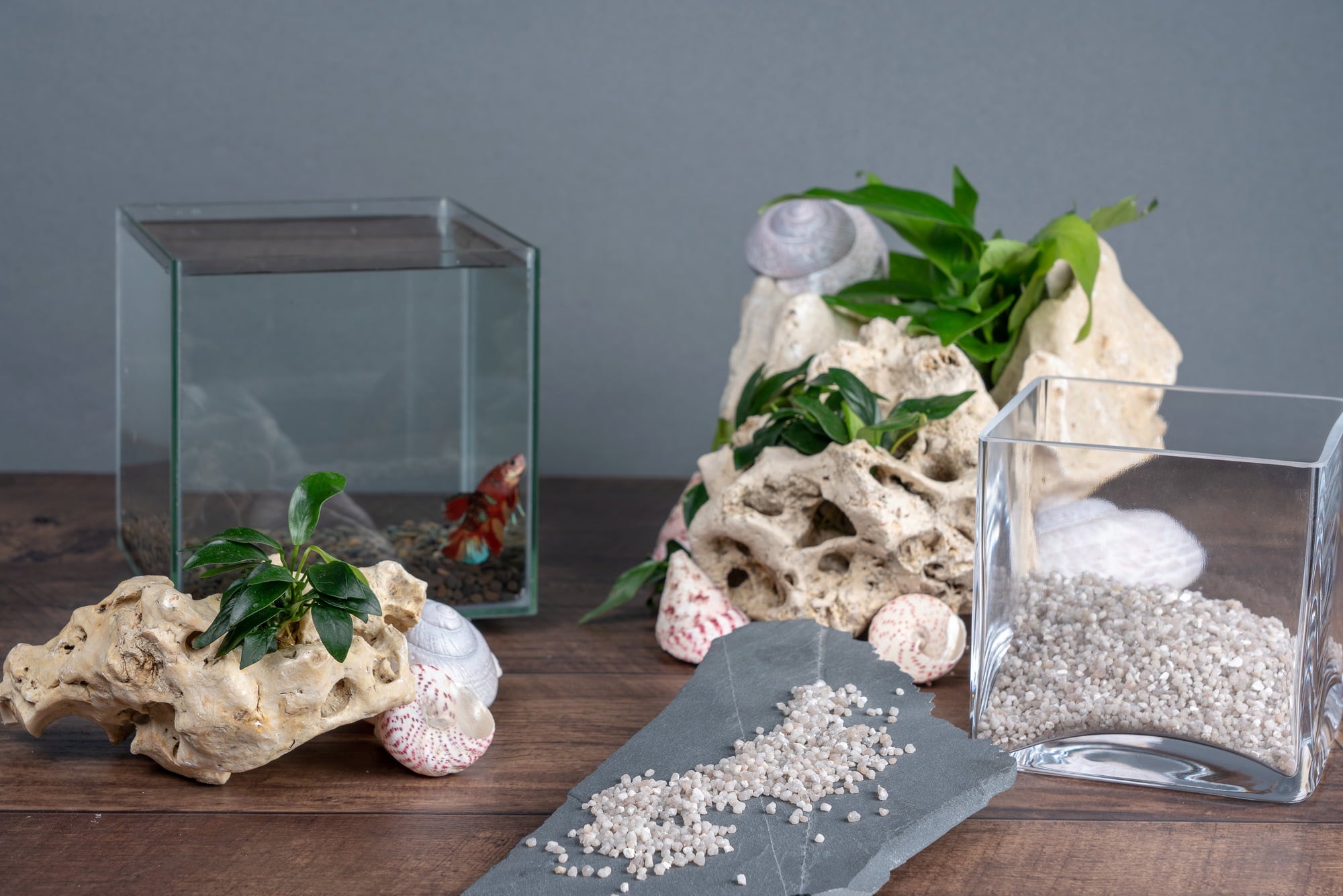 Gravel Crystal Quartz 5kg von Olibetta