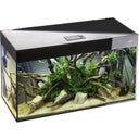 Aquael Glossy Cube 50 Day&Night Aquarium Set - Black