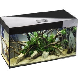 Aquael Glossy Cube 50 Day&Night Aquarium Set - Black