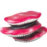 Terra Della Ružové huby (plávajúca dekorácia)