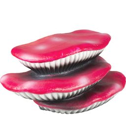 Terra Della Ružové huby (plávajúca dekorácia) - 1 ks