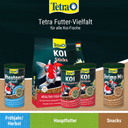 Tetra Pond Koi Sticks - Colour & Growth - 4L