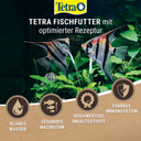 Tetra Cichlid Granulés - 500 ml