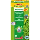 Florenette, 24 tablets