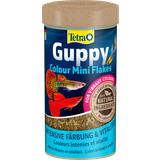 Best food for guppies and tetras best sale