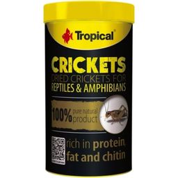 Tropical Crickets - 250 ml