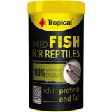 Tropical Dried Fish for Reptiles