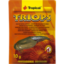 Tropical Triops - 10 g