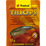 Tropical Triops