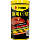 Tropical Gecko Cream