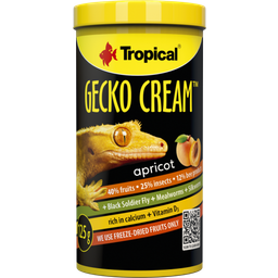 Tropical Gecko Cream - Abrikoos