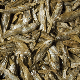 Tropical Dried Fish for Reptiles - 250 ml