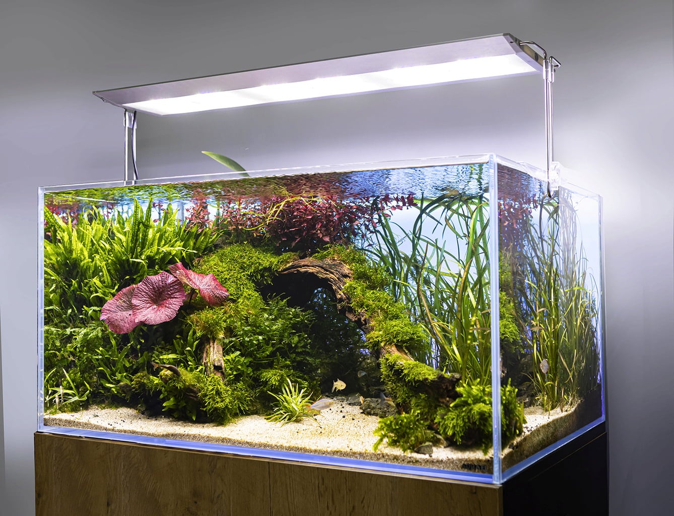 Aquael Ultra Slim 90 - Éclairage d'aquarium - 1 pcs