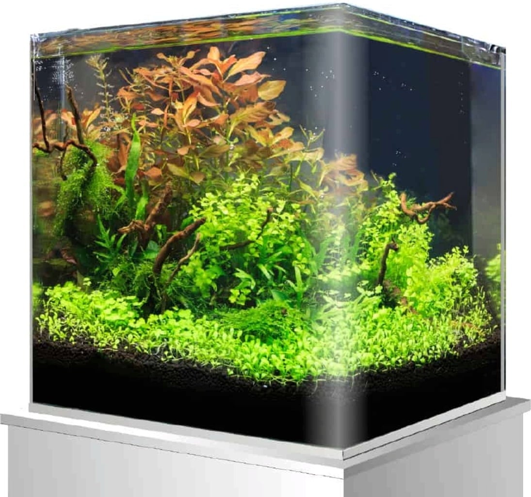 Amtra Nanotank 90 (45x45x45) - 1 Stk