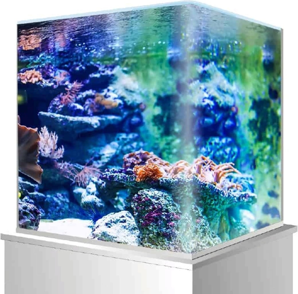 Amtra Nanotank 30 (30x30x35 cm) - 1 pcs
