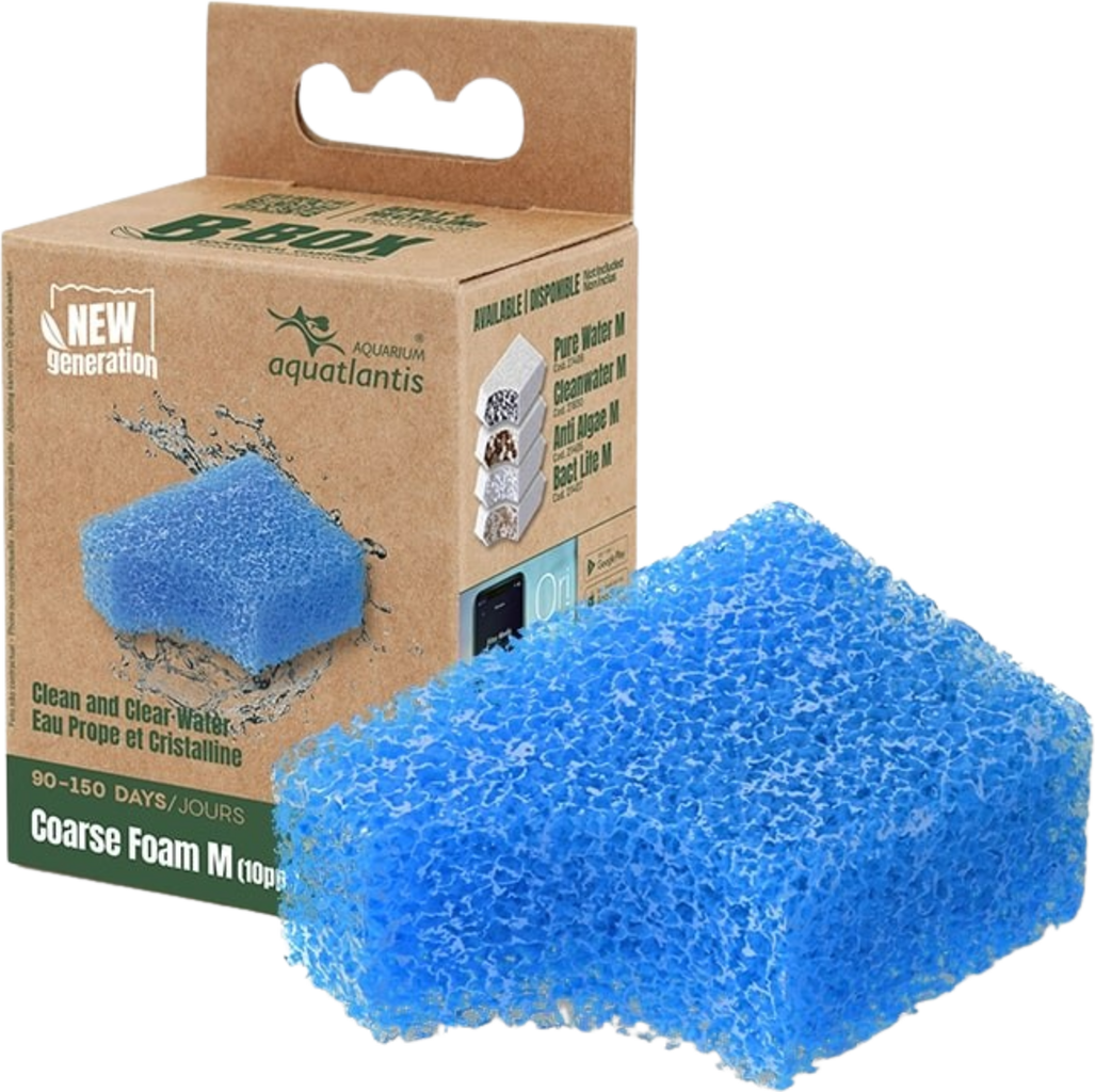 B-Box Éponge pour Filtre Grossier, M