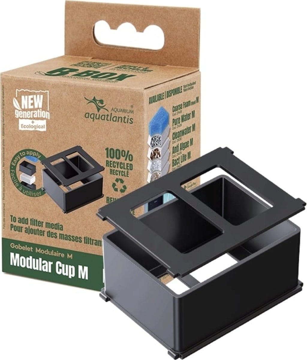 Aquatlantis Modular Cup für B-Box - M
