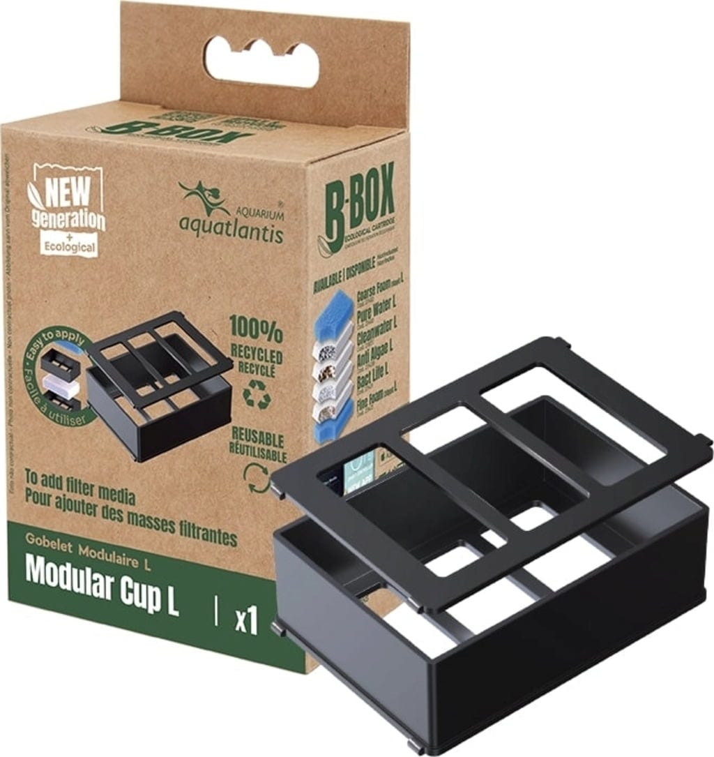 Aquatlantis Modular Cup für B-Box - L