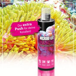 Microbe-Lift Coral Active - 5000 ml