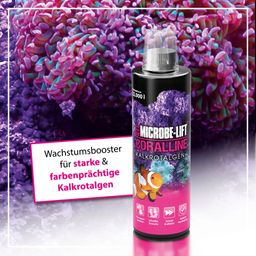 Microbe-Lift Coralline - 473ml