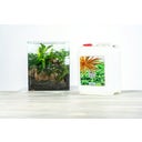 Makro Basic NPK von Aqua Rebell
