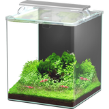 Set Aquarium - Kubus Curve LED - Complete