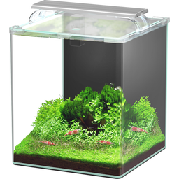 Aquatlantis Set Acuario - Kubus Curve LED - Complete - 30 L