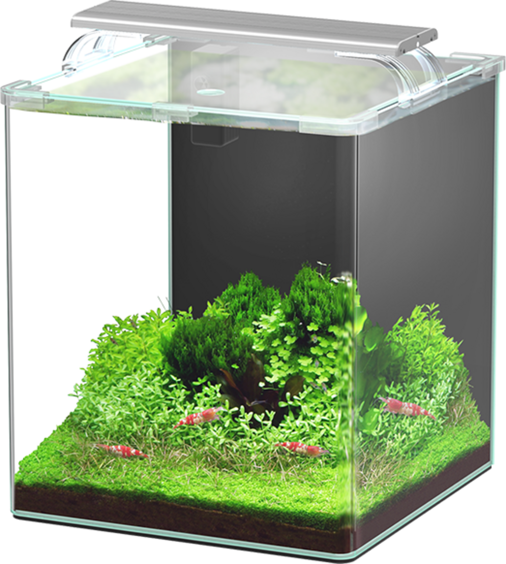 Aquatlantis Kubus Curve LED - Complete - 30 L