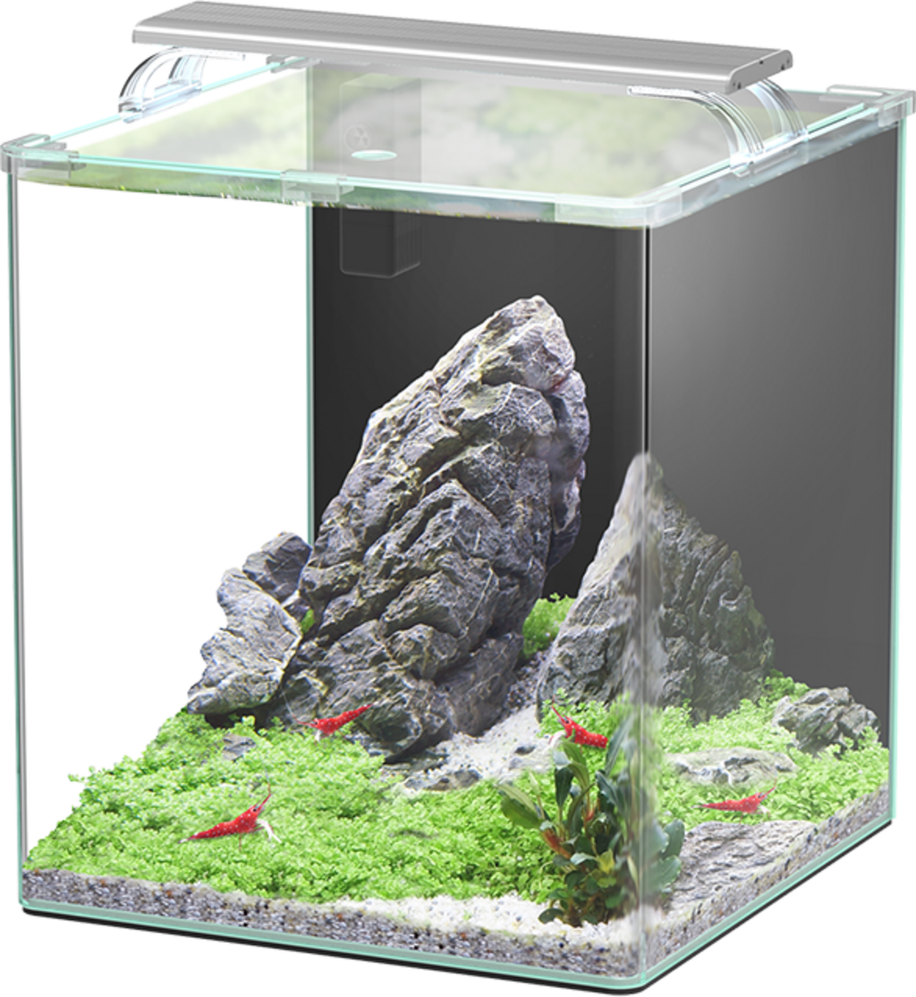 Set Aquarium - Kubus Curve LED - Complete